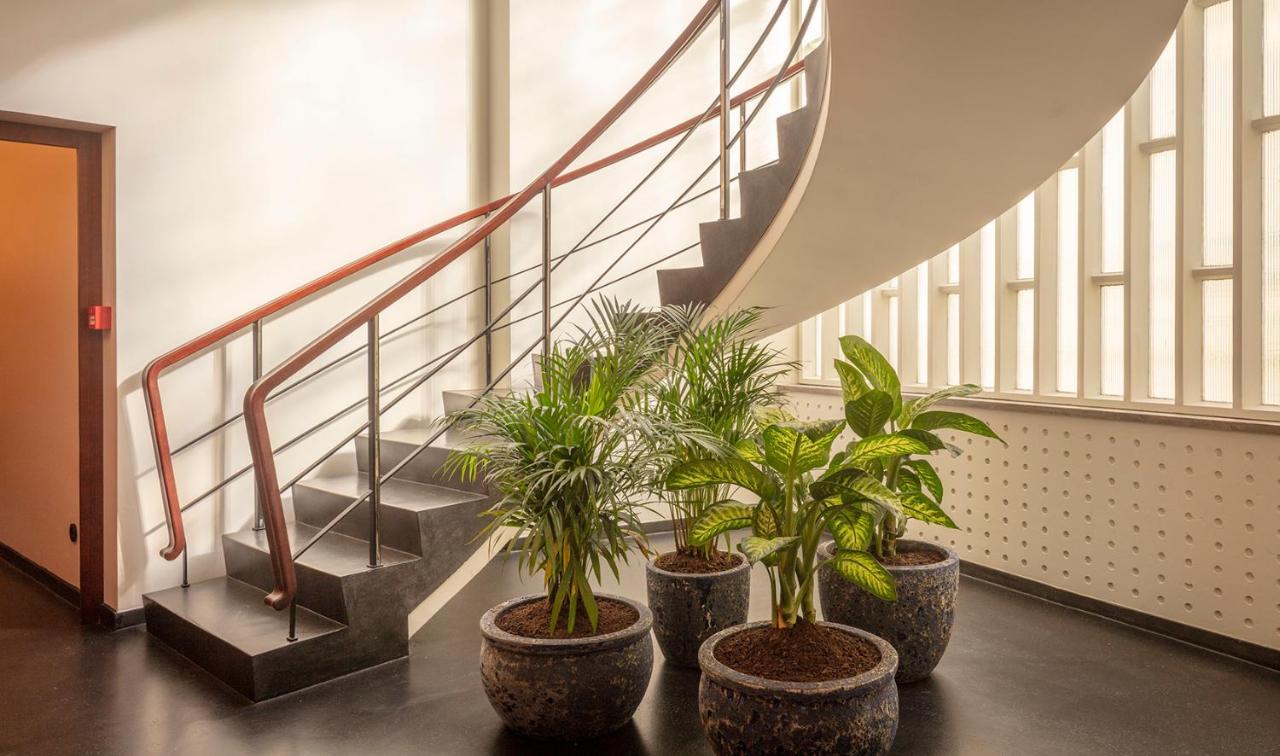Ceuta Terrace Suites Porto Buitenkant foto